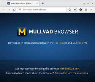 Mullvad Browser Screenshot